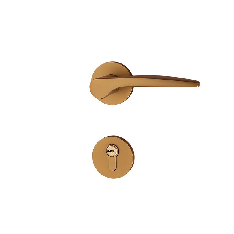 DS-738002 分（fèn）體鎖（suǒ）